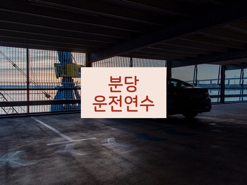 분당운전연수 후기