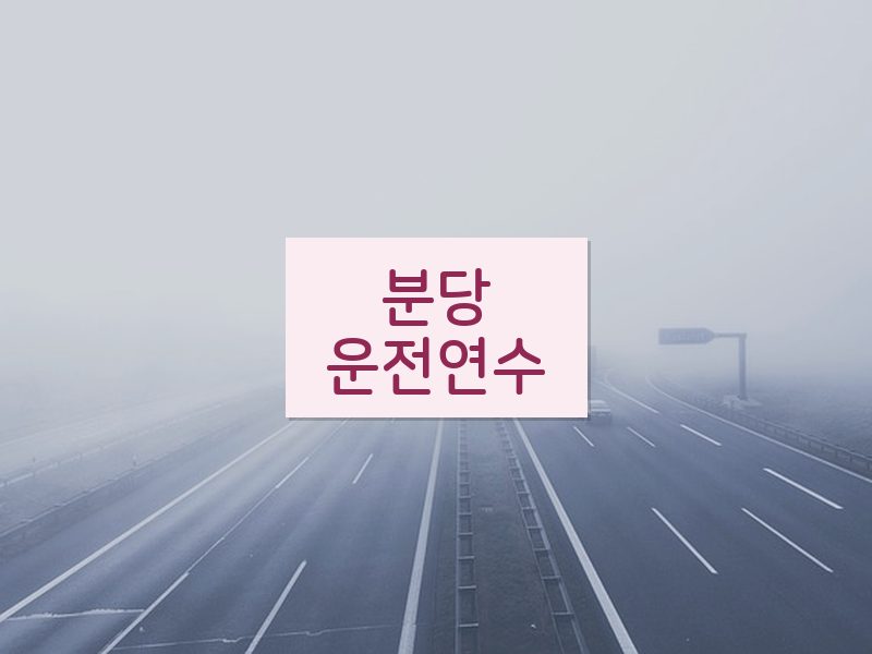 분당운전연수 후기