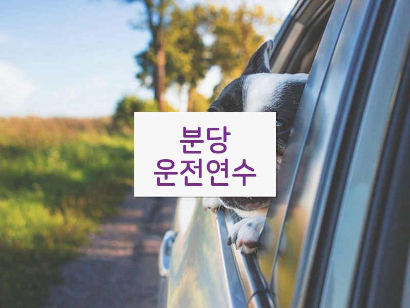 분당운전연수 후기