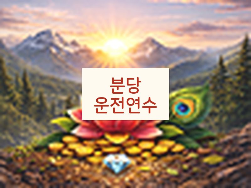 분당운전연수 후기