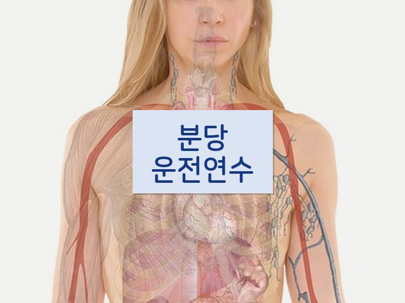 분당운전연수 후기