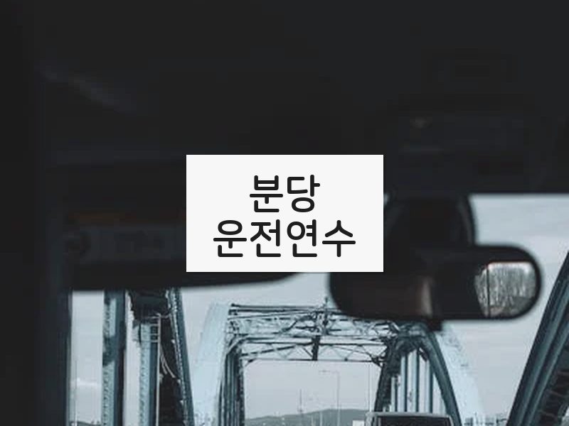 분당운전연수 후기