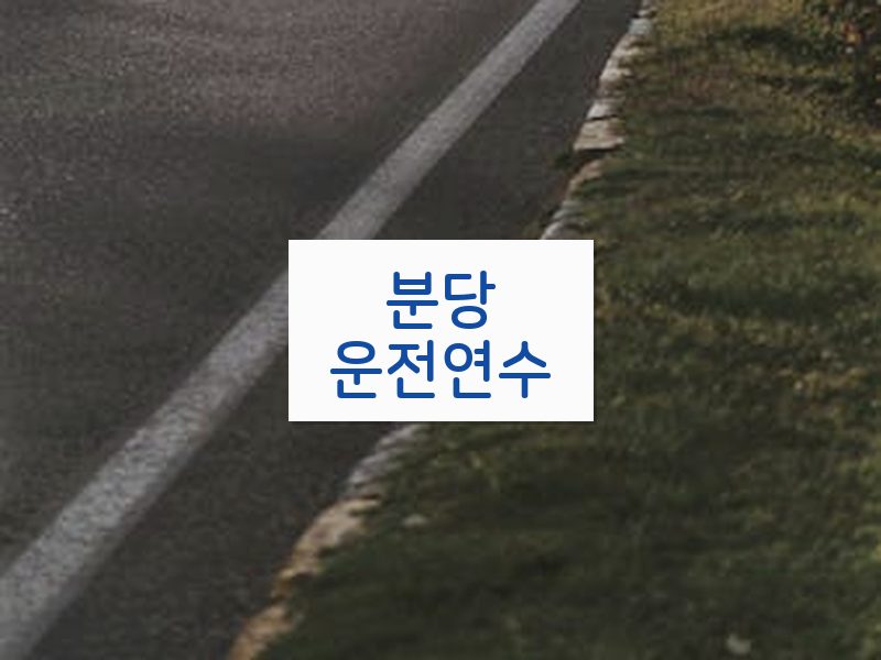 분당운전연수 후기