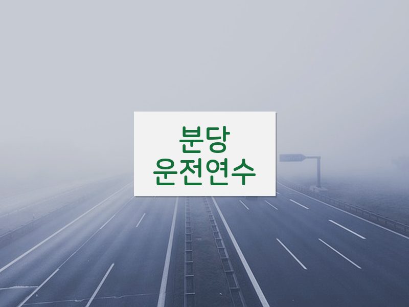분당운전연수 후기
