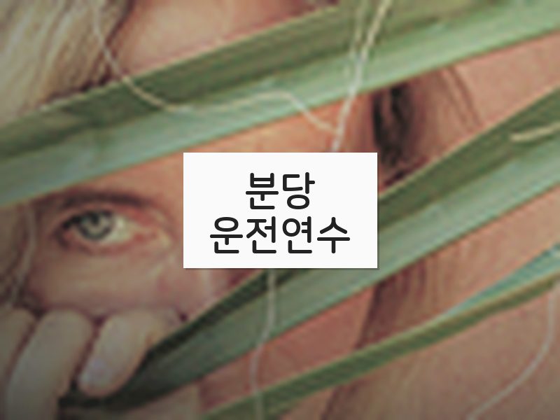 분당운전연수 후기