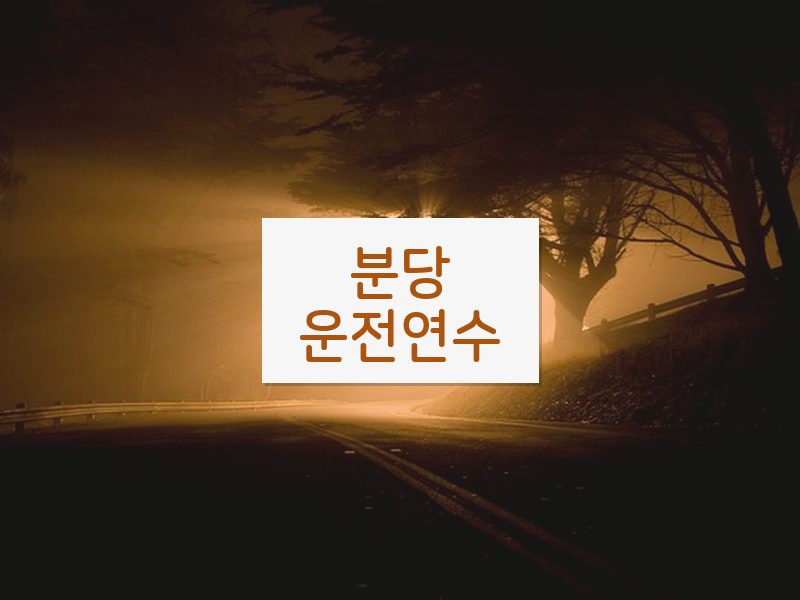 분당운전연수 후기