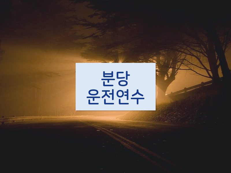 분당운전연수 후기