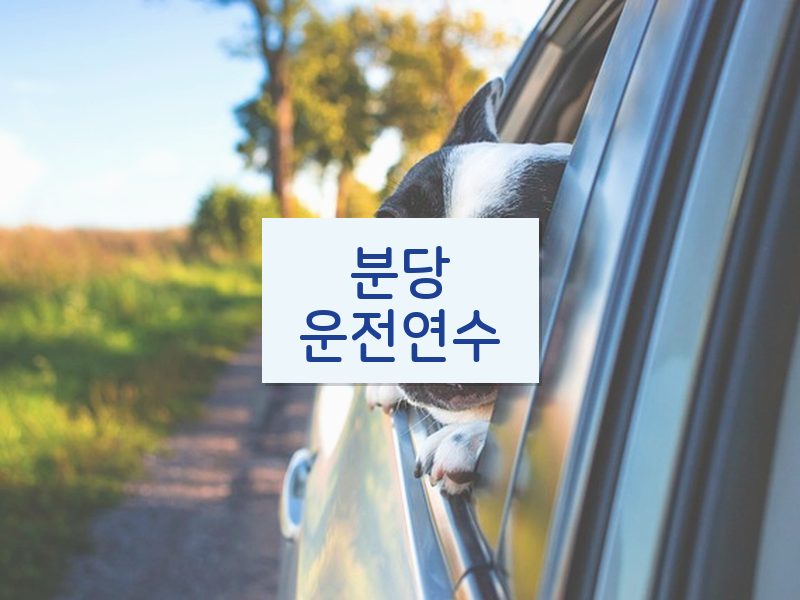 분당운전연수 후기