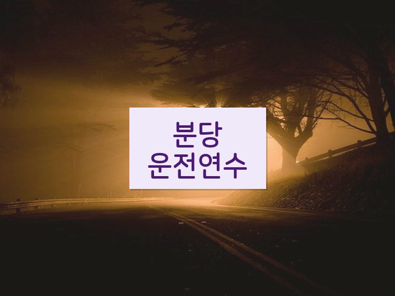 분당운전연수 후기