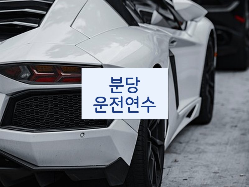 분당운전연수 후기
