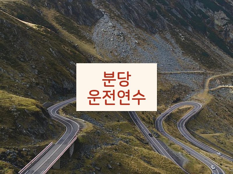 분당운전연수 후기