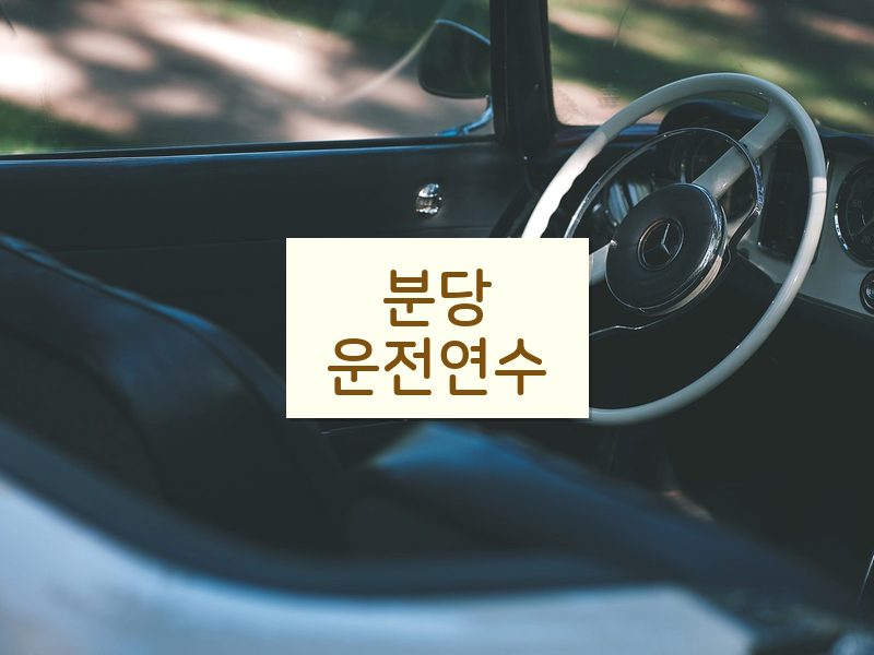 분당운전연수 후기