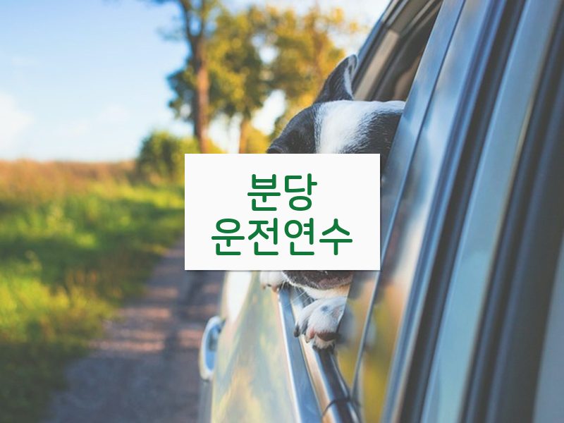분당운전연수 후기