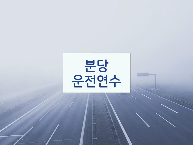 분당운전연수 후기