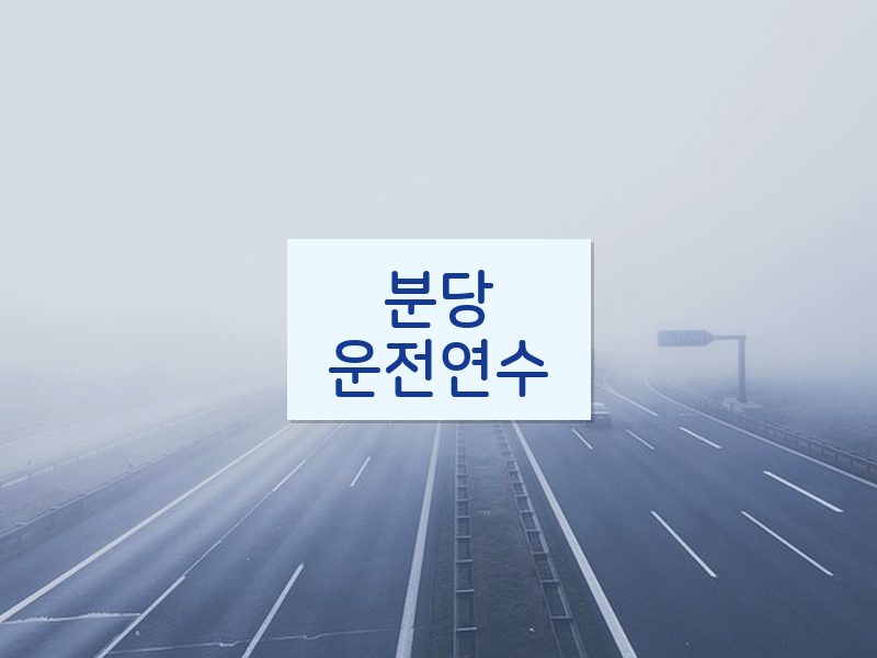 분당운전연수 후기