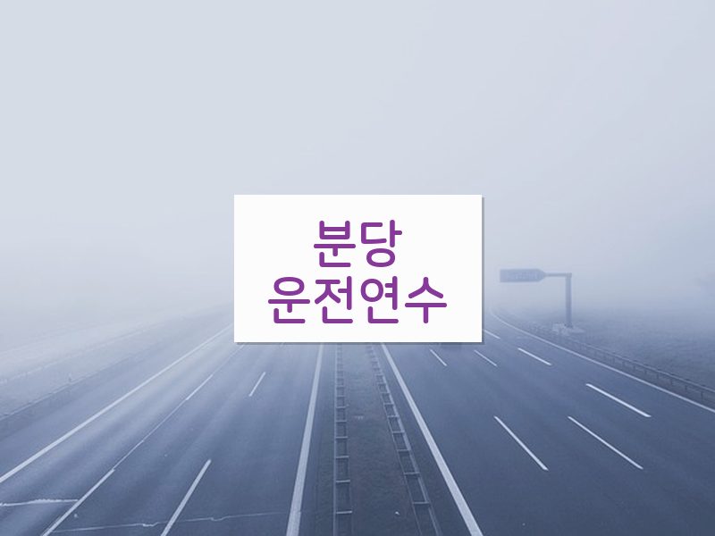 분당운전연수 후기