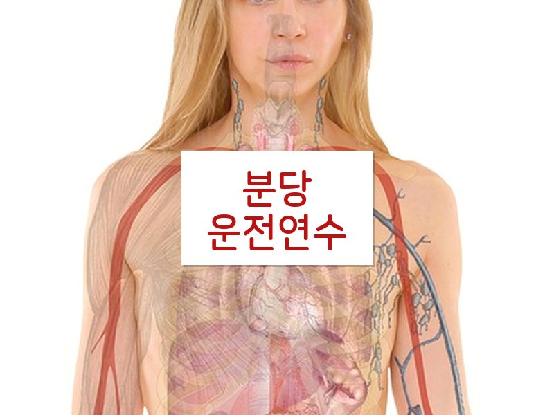 분당운전연수 후기