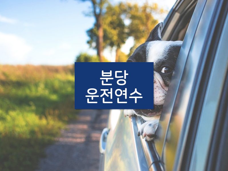 분당운전연수 후기