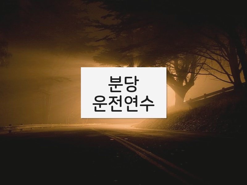 분당운전연수 후기