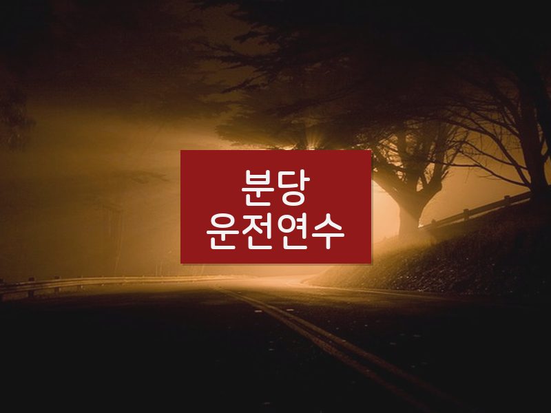 분당운전연수 후기