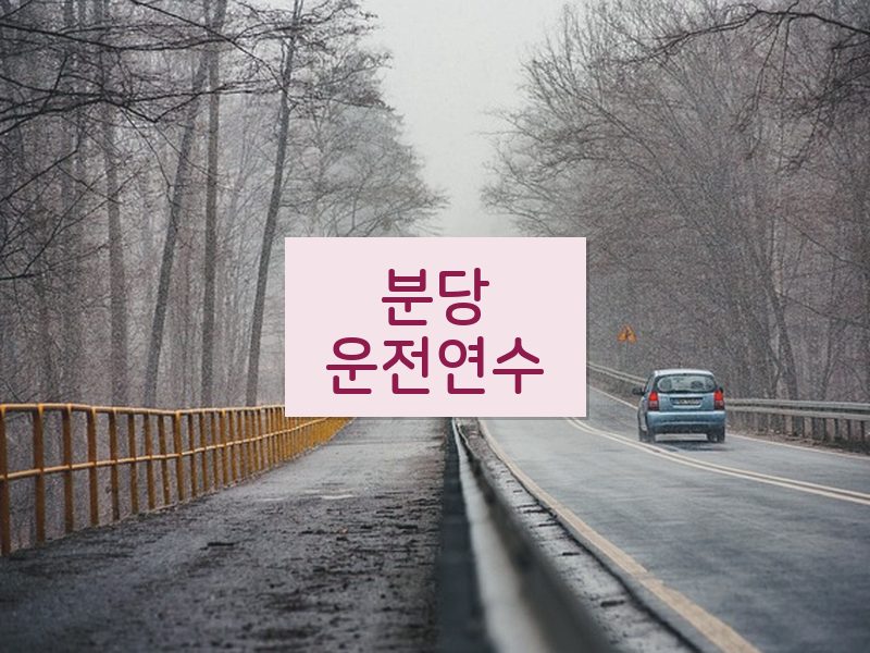 분당운전연수 후기