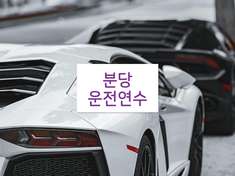 분당운전연수 후기