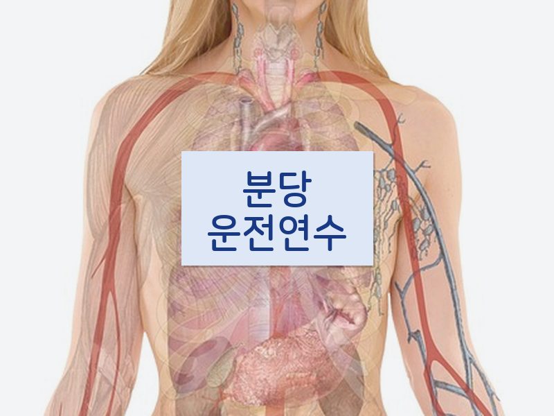 분당운전연수 후기