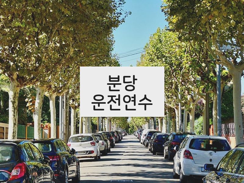 분당운전연수 후기