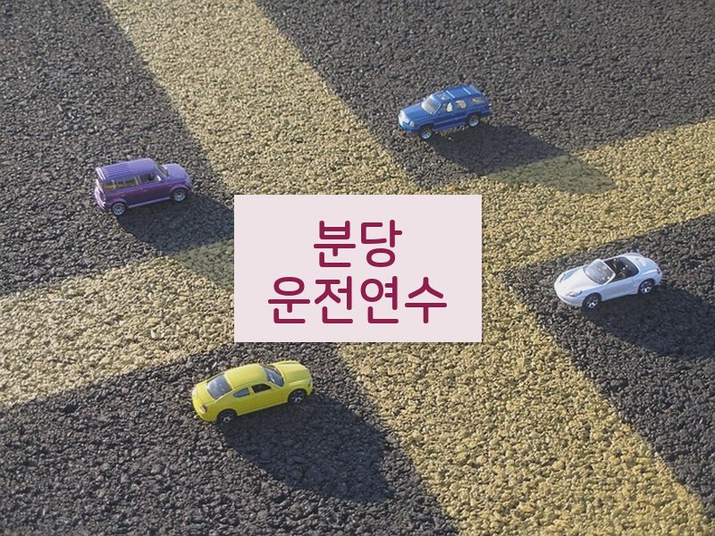 분당운전연수 후기