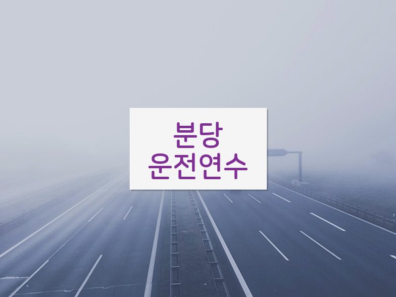 분당운전연수 후기