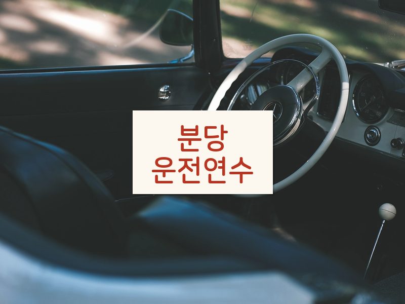 분당운전연수 후기