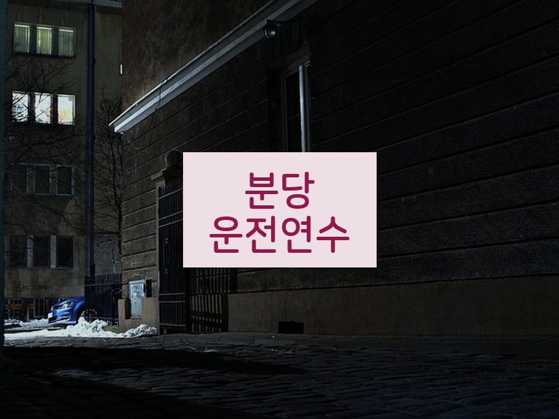 분당운전연수 후기