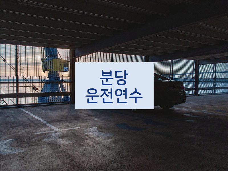 분당운전연수 후기