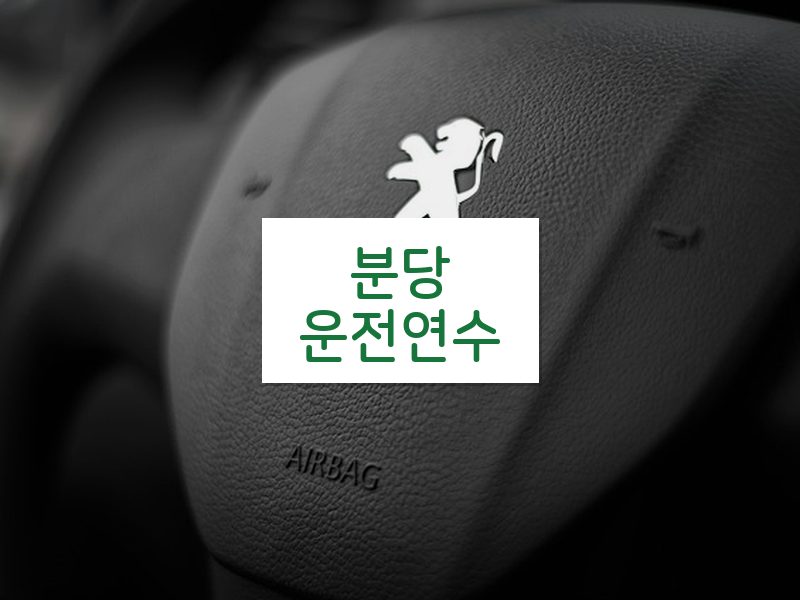 분당운전연수 후기