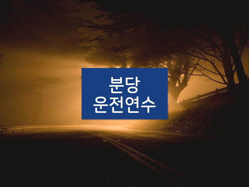 분당운전연수 후기