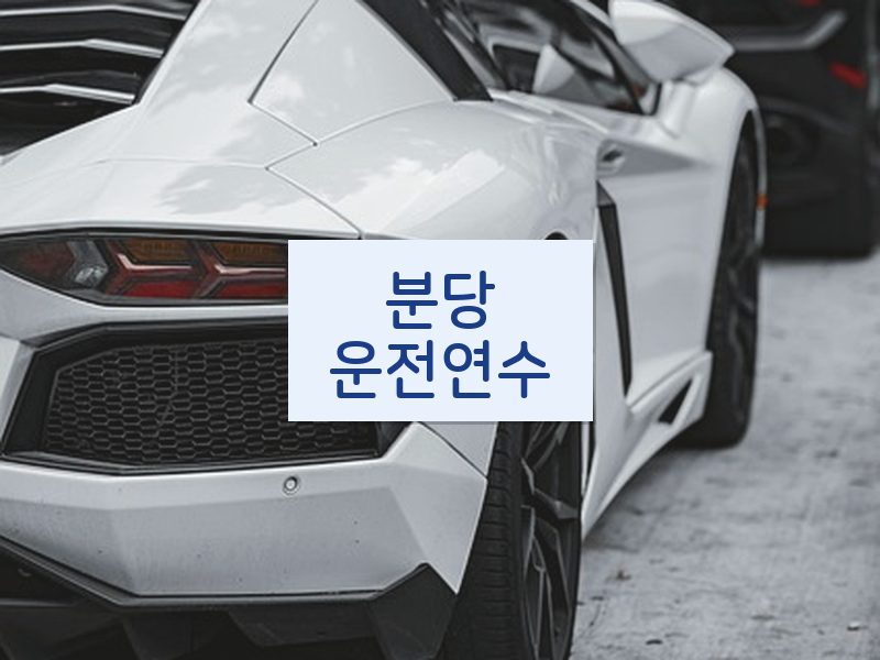 분당운전연수 후기