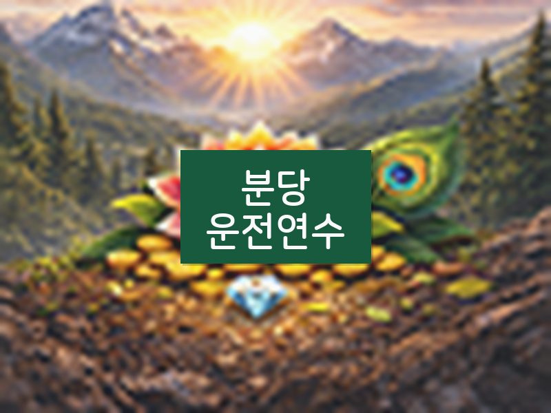 분당운전연수 후기
