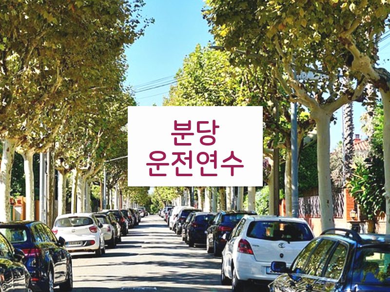 분당운전연수 후기