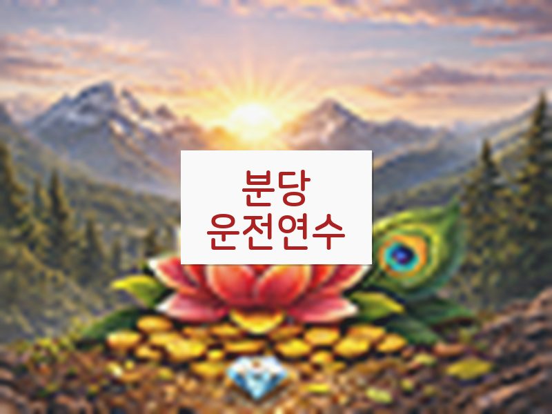 분당운전연수 후기