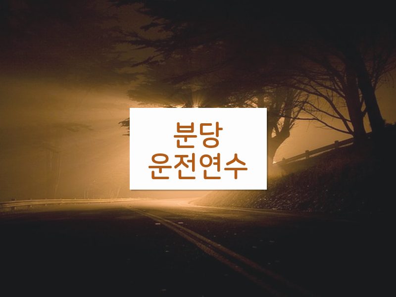 분당운전연수 후기