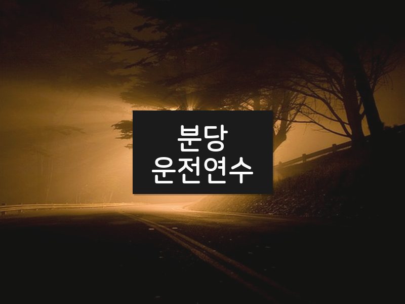 분당운전연수 후기