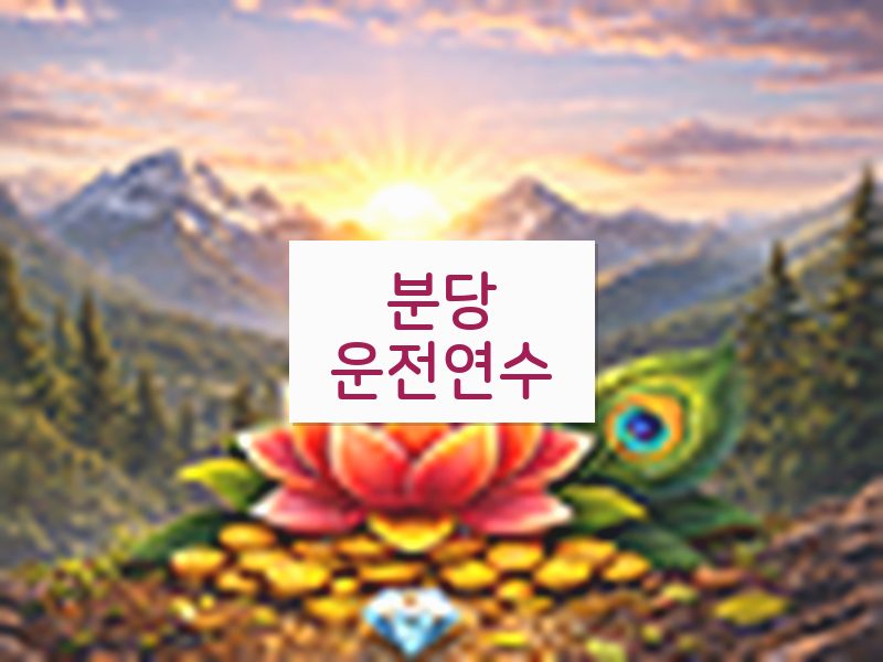 분당운전연수 후기