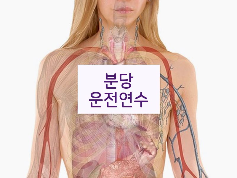 분당운전연수 후기