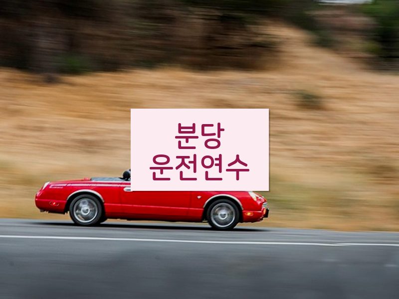 분당운전연수 후기
