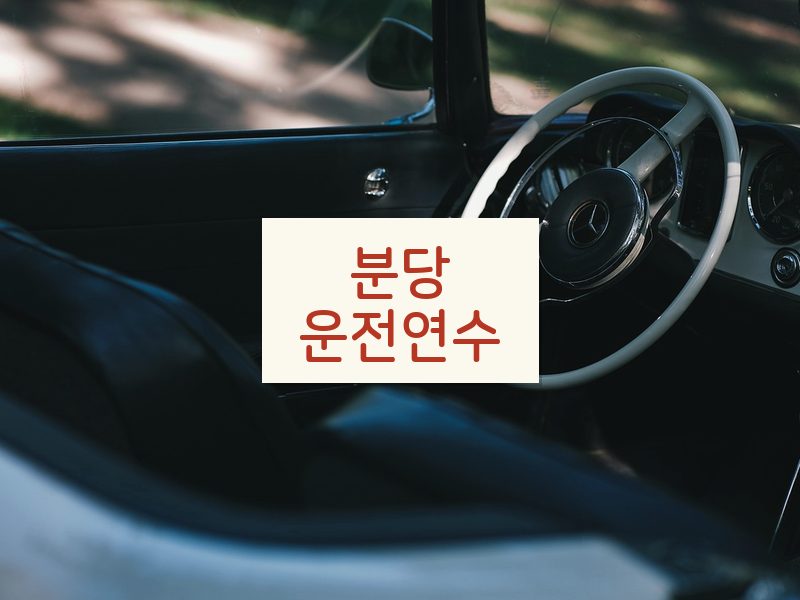 분당운전연수 후기