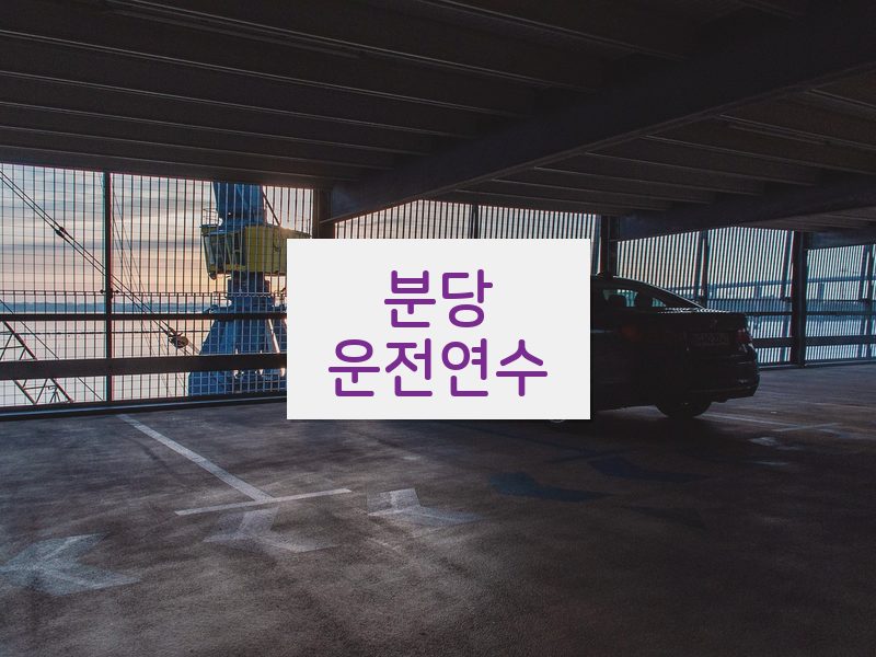 분당운전연수 후기