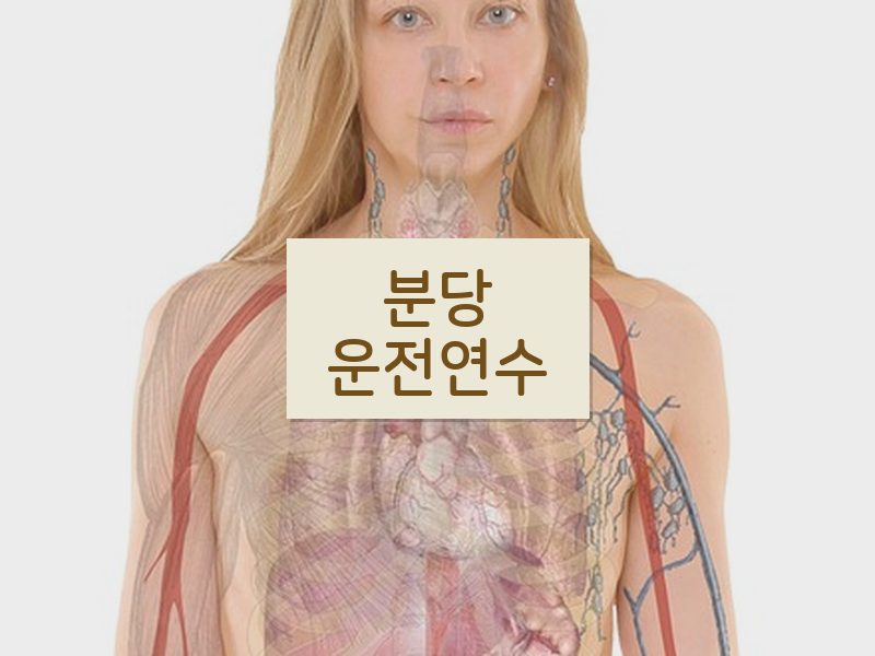 분당운전연수 후기