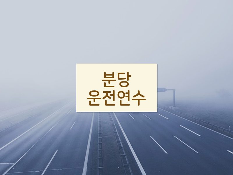 분당운전연수 후기