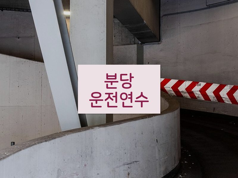분당운전연수 후기