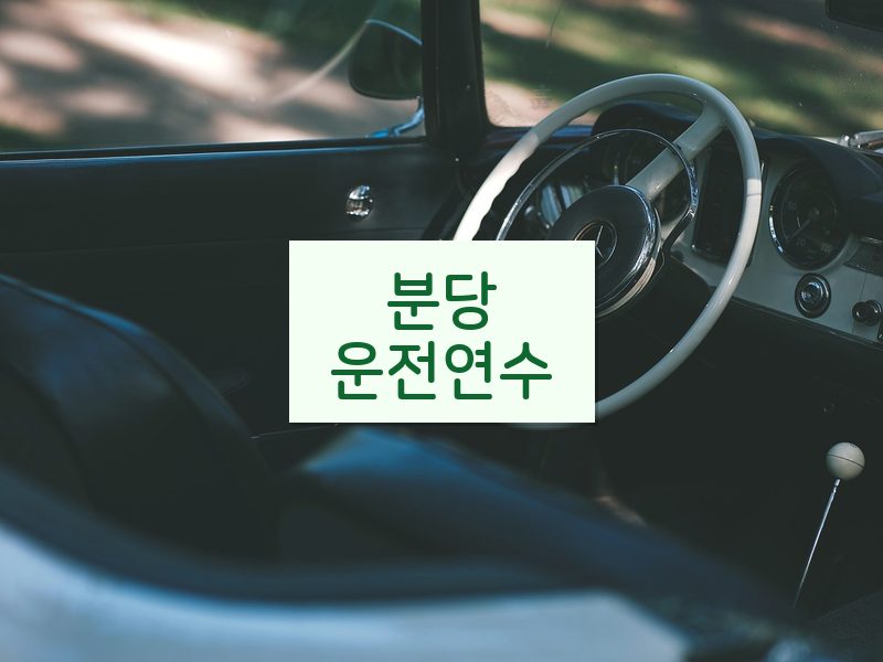 분당운전연수 후기